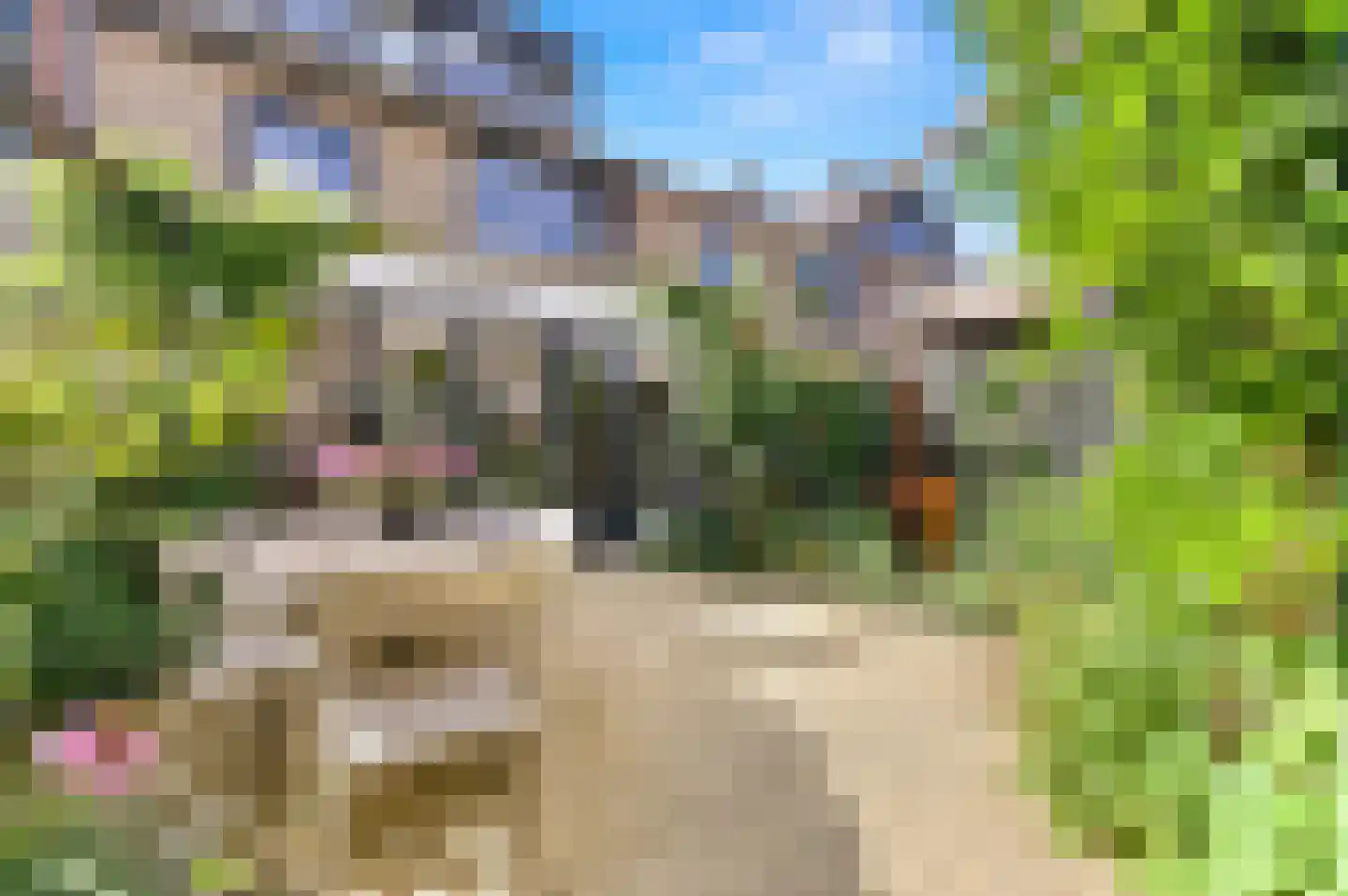 Ruwaard 6 Maasland thumbnail 19