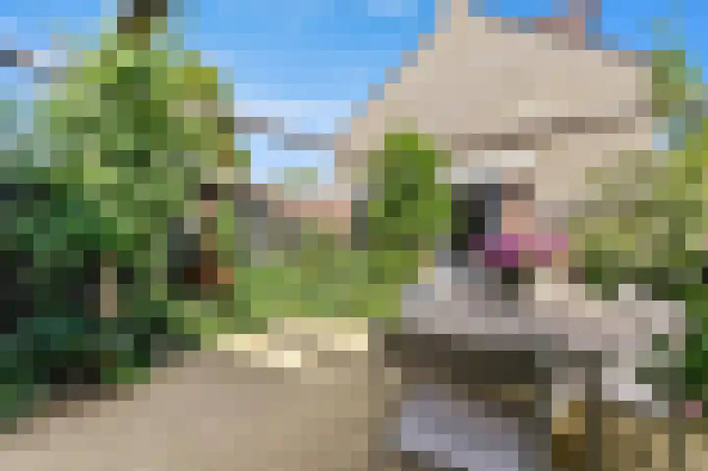 Ruwaard 6 Maasland thumbnail 20