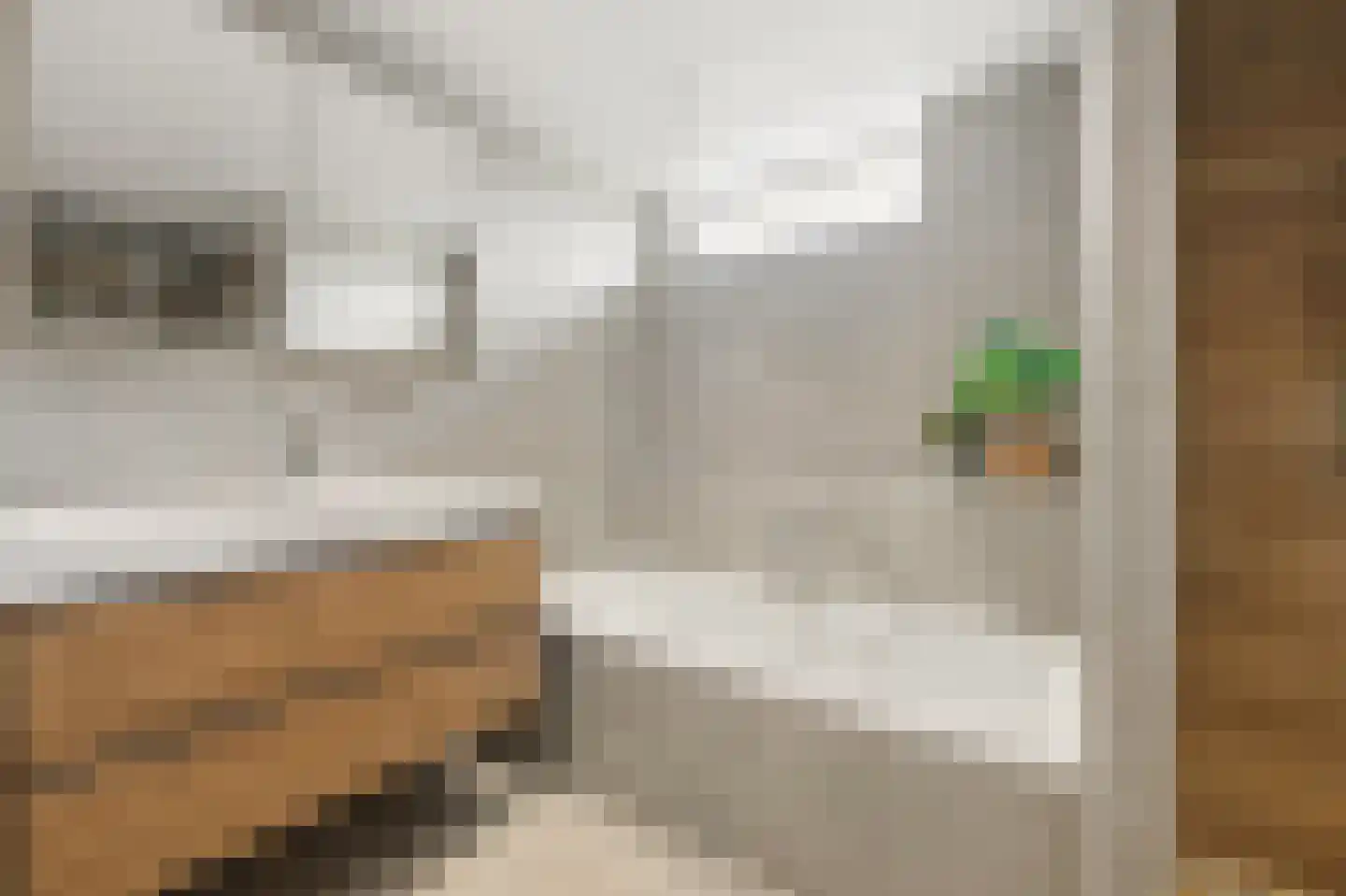 Ruwaard 6 Maasland thumbnail 26