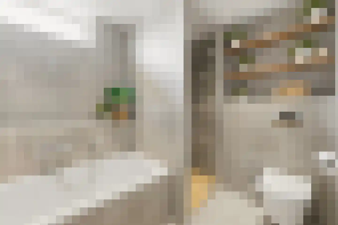 Ruwaard 6 Maasland thumbnail 27