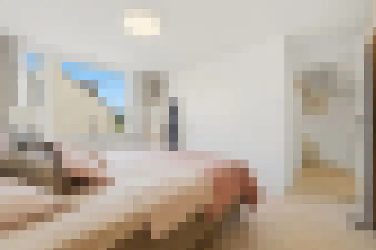 Ruwaard 6 Maasland thumbnail 31