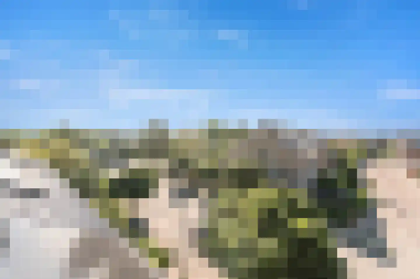 Ruwaard 6 Maasland thumbnail 38