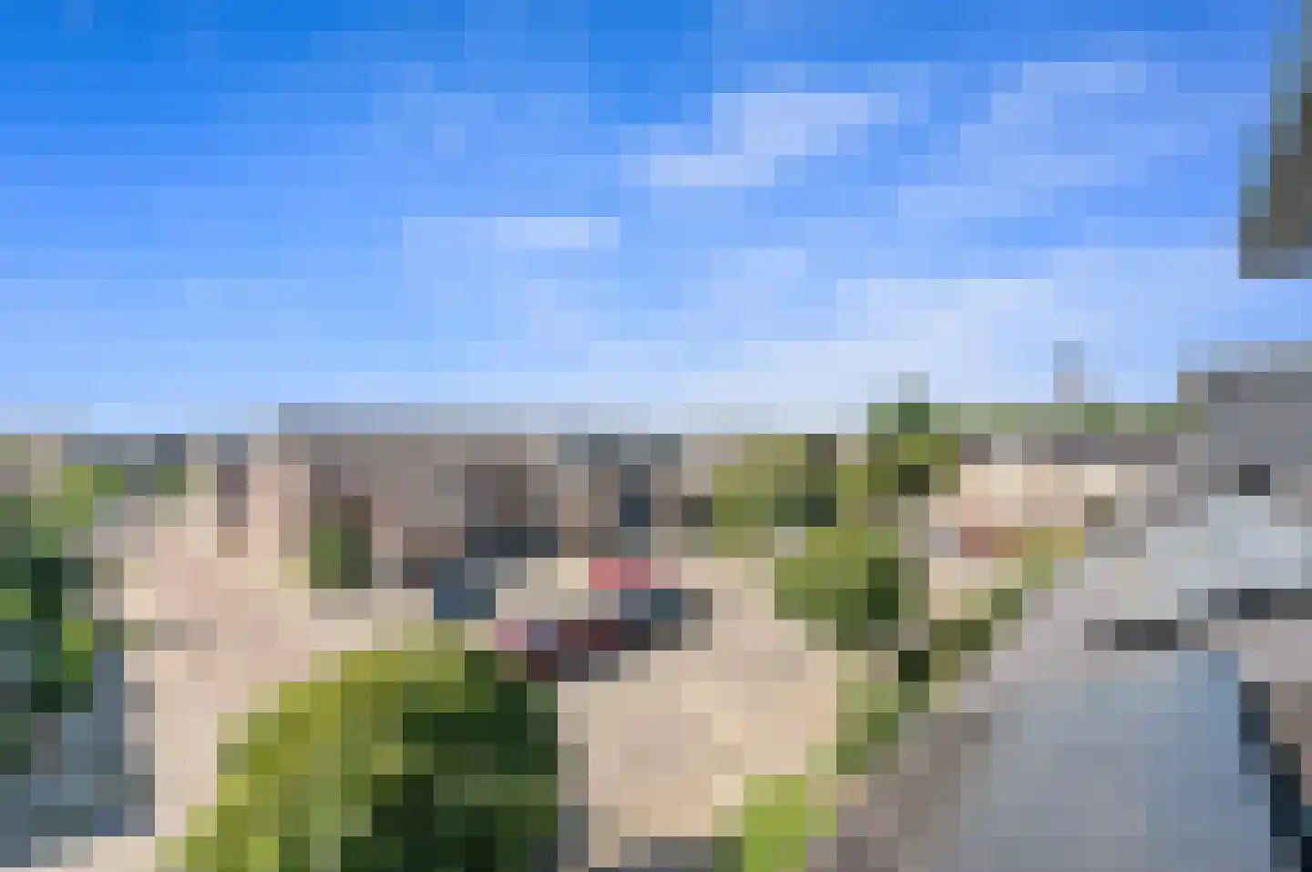 Ruwaard 6 Maasland thumbnail 39