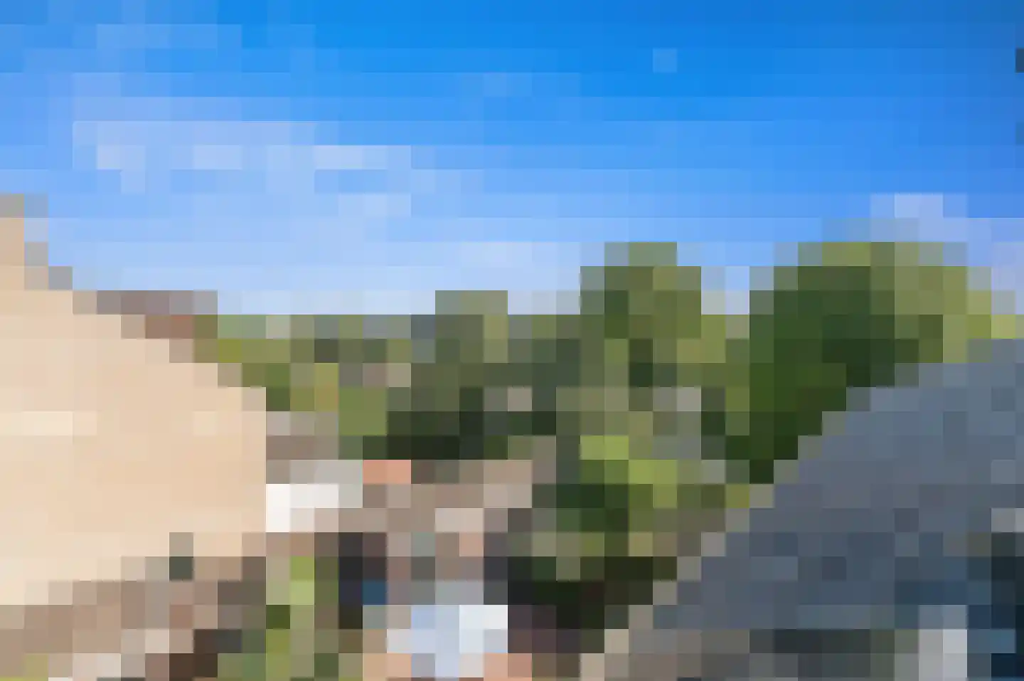 Ruwaard 6 Maasland thumbnail 44