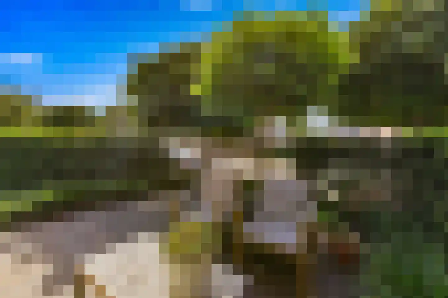 Ruwaard 6 Maasland thumbnail 5