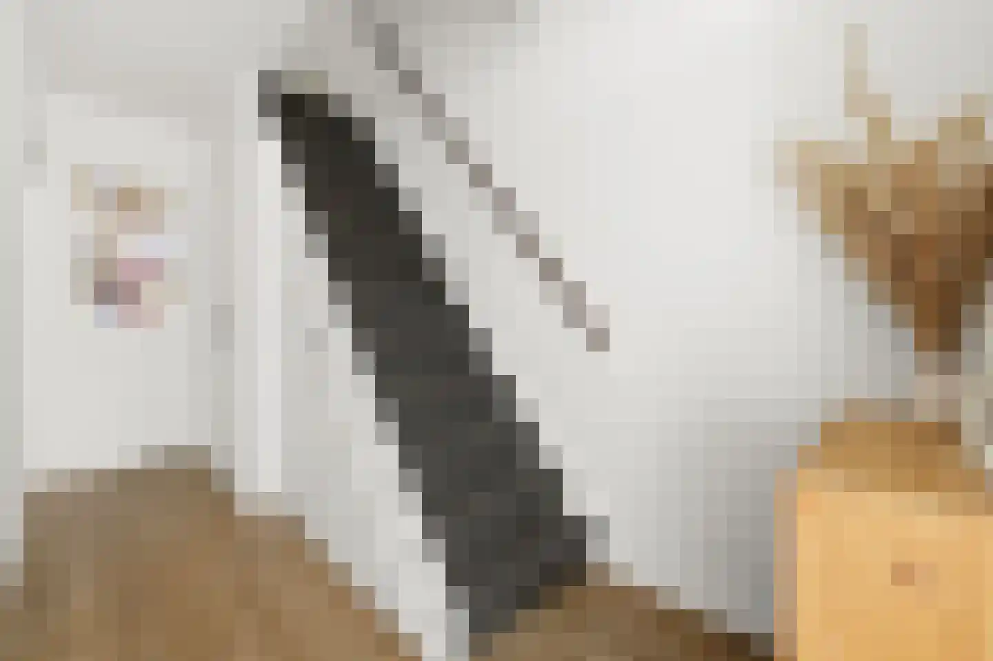 Ruwaard 6 Maasland thumbnail 8
