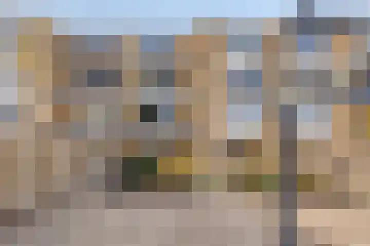Ruwaard van Puttenweg 19 Spijkenisse thumbnail 20