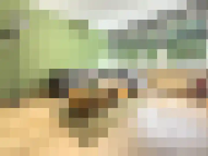 Ruwaardlaan 100 Ridderkerk thumbnail 11