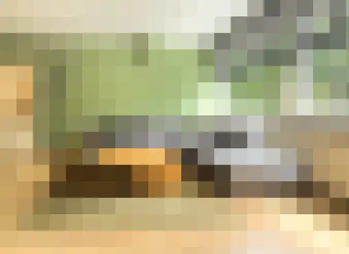 Ruwaardlaan 100 Ridderkerk thumbnail 12