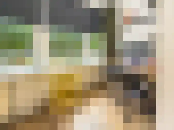 Ruwaardlaan 100 Ridderkerk thumbnail 23