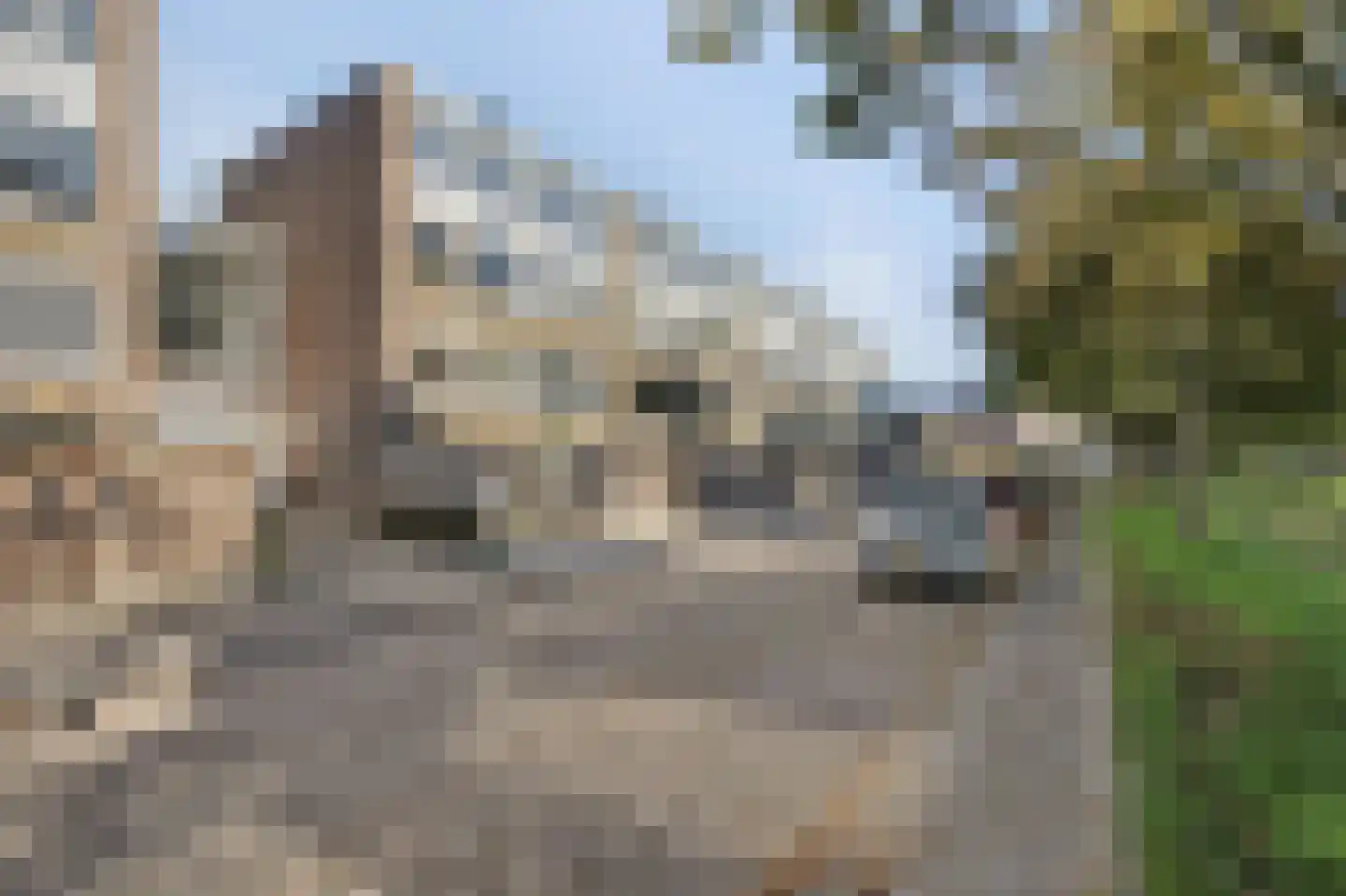 Ruwaardlaan 160 Ridderkerk thumbnail 28