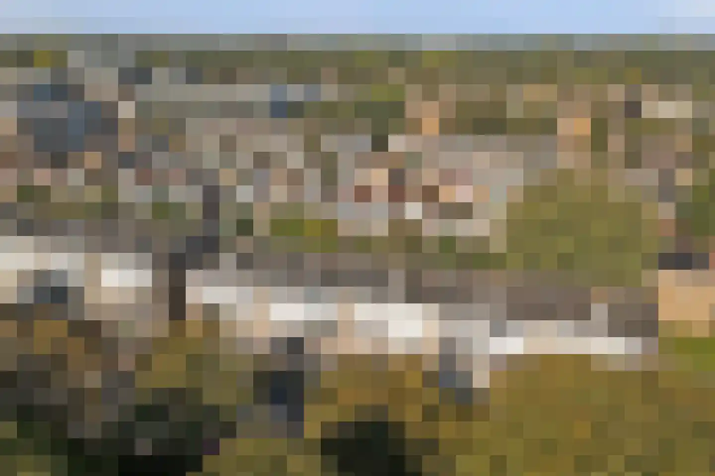 Ruwaardlaan 160 Ridderkerk thumbnail 31