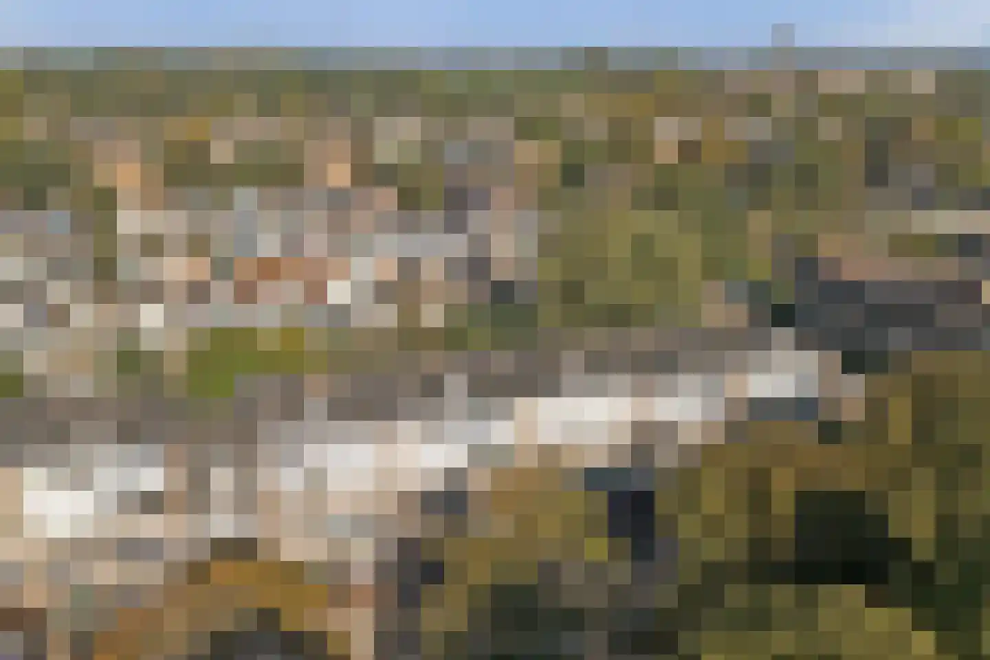 Ruwaardlaan 160 Ridderkerk thumbnail 32