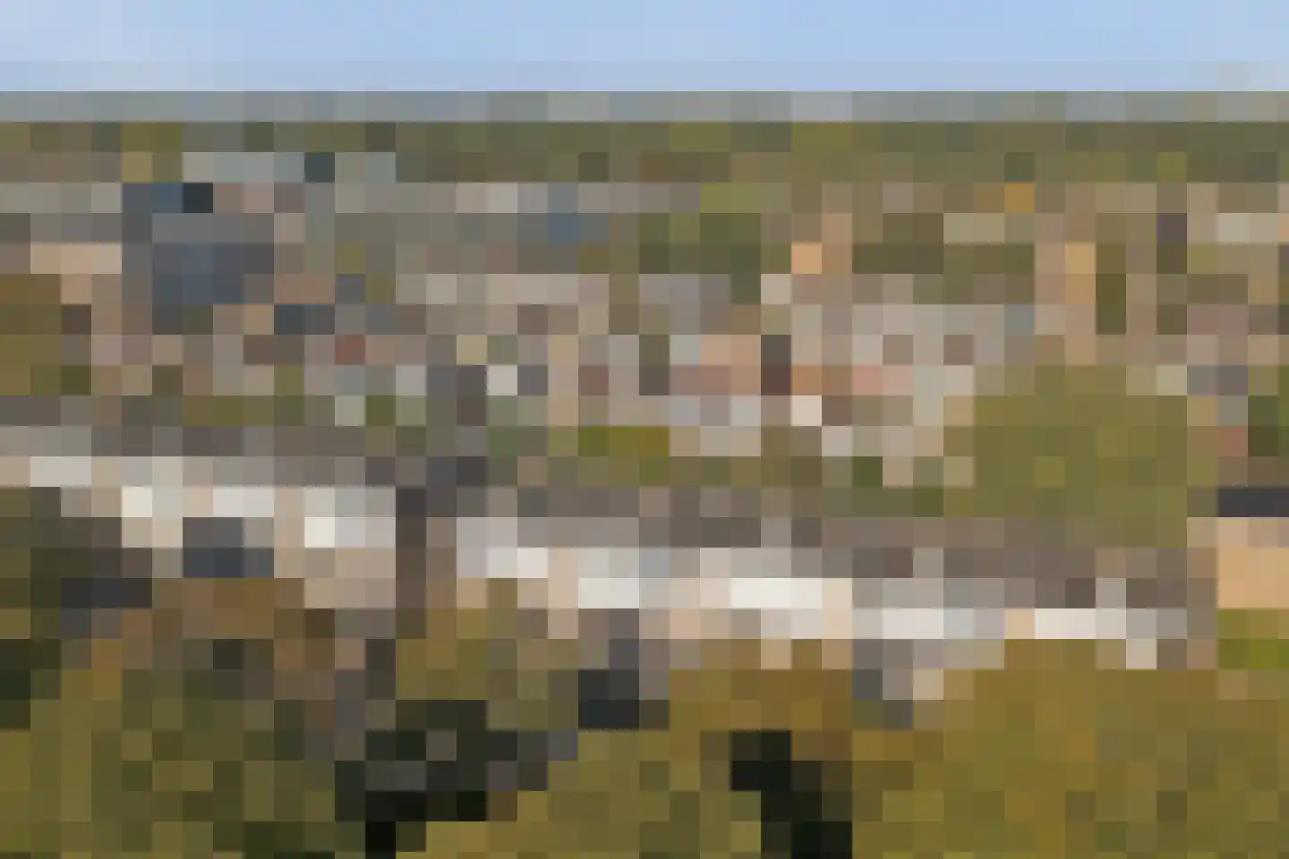 Ruwaardlaan 160 Ridderkerk thumbnail 34