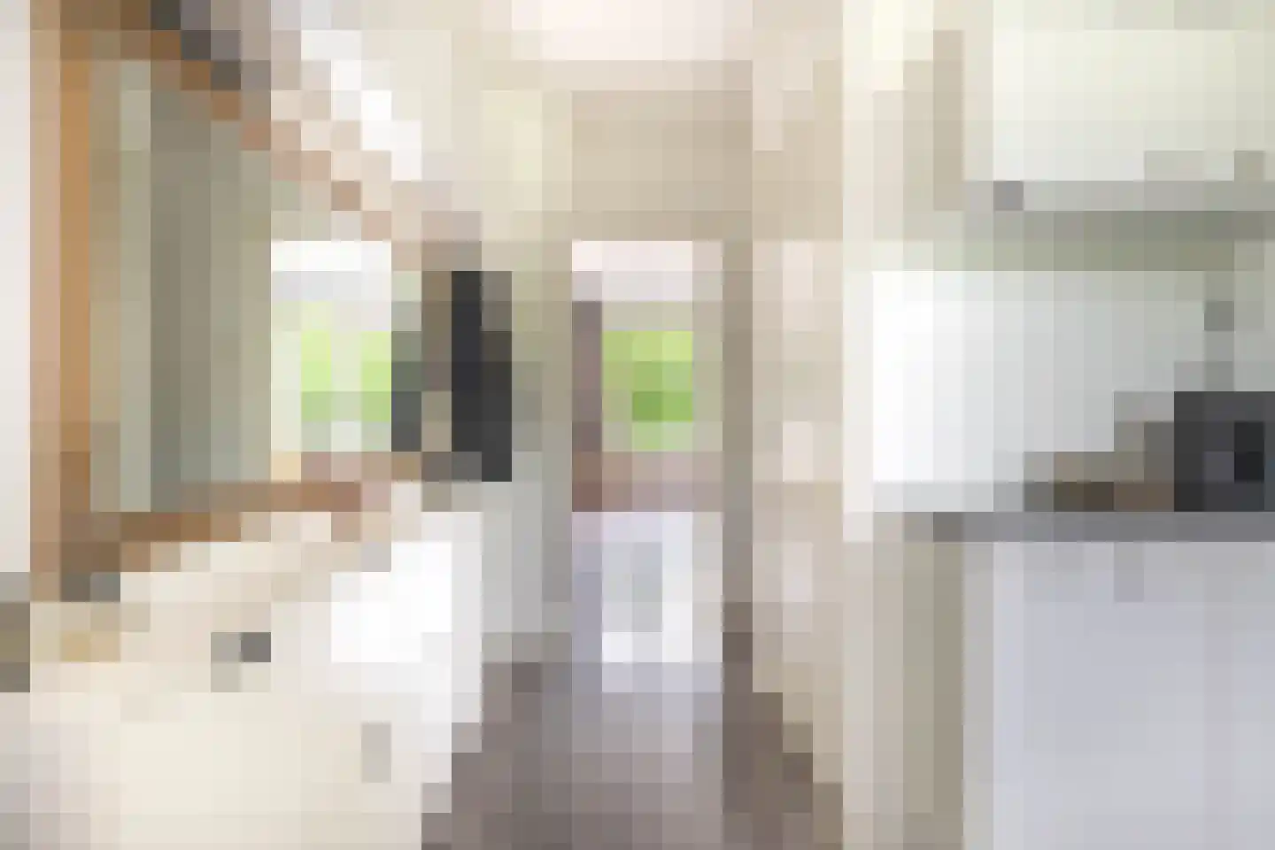 Ruwaardlaan 66 Ridderkerk thumbnail 13