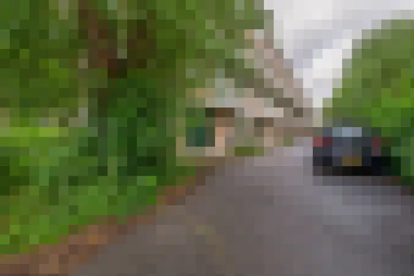 Ruwaardlaan 66 Ridderkerk thumbnail 31