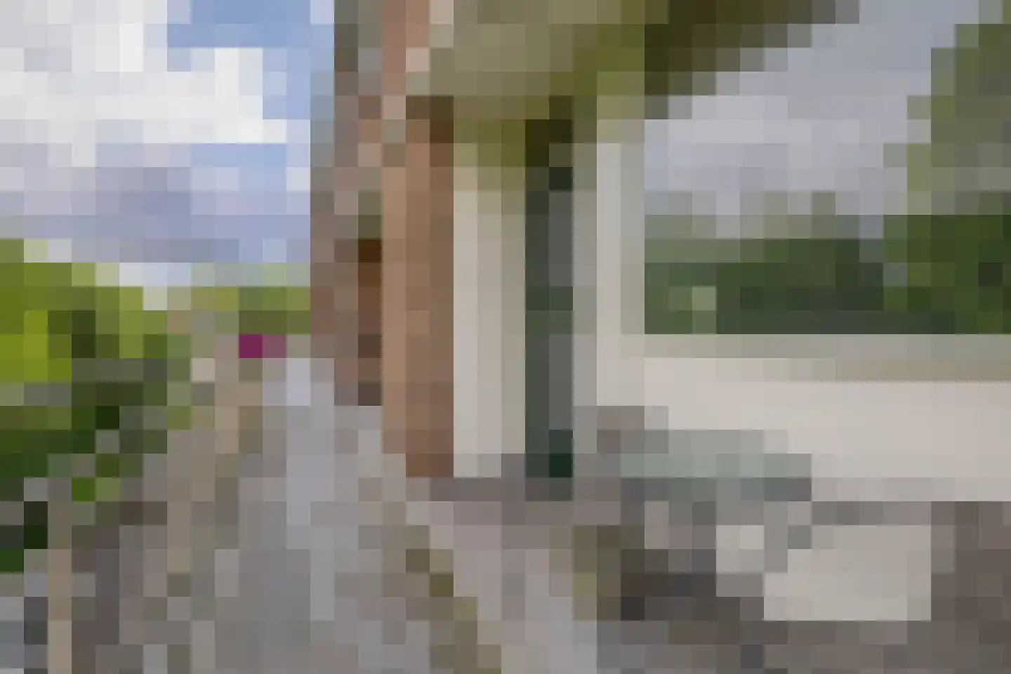 Ruwaardlaan 66 Ridderkerk thumbnail 5
