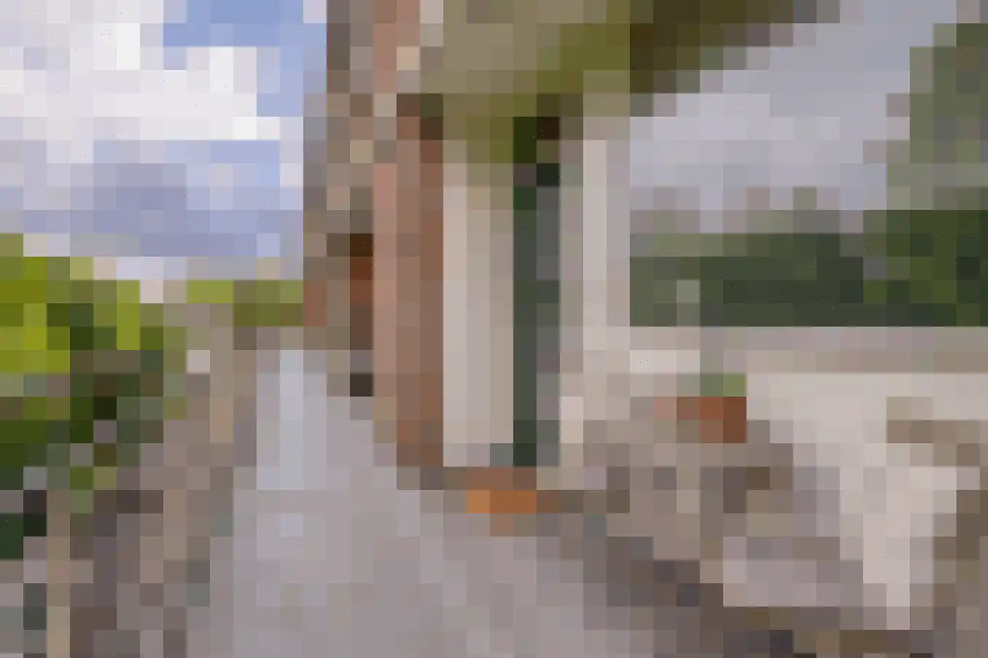 Ruwaardlaan 66 Ridderkerk thumbnail 6