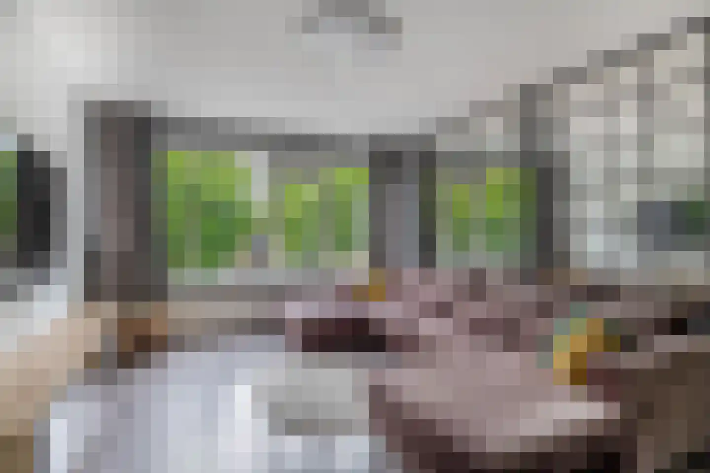 Ruwaardlaan 66 Ridderkerk thumbnail 8