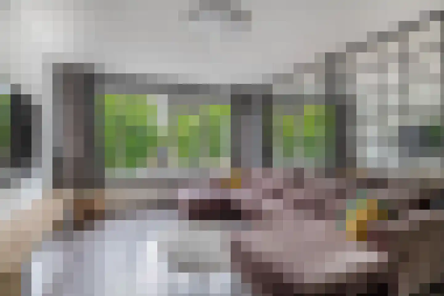 Ruwaardlaan 66 Ridderkerk thumbnail 8