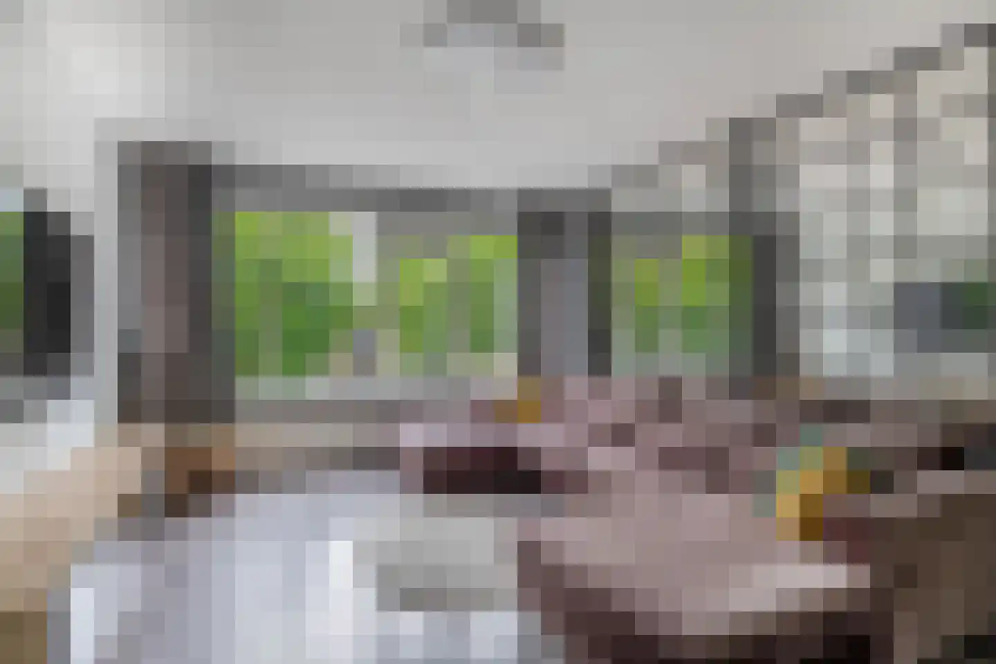 Ruwaardlaan 66 Ridderkerk thumbnail 8