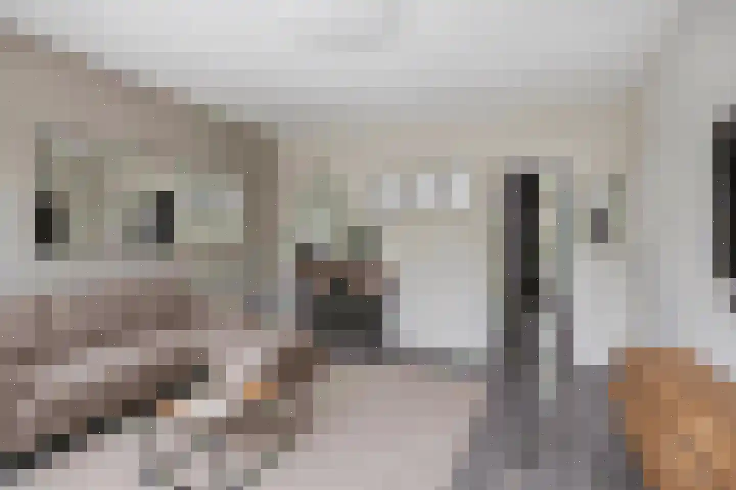 Ruwaardlaan 66 Ridderkerk thumbnail 9