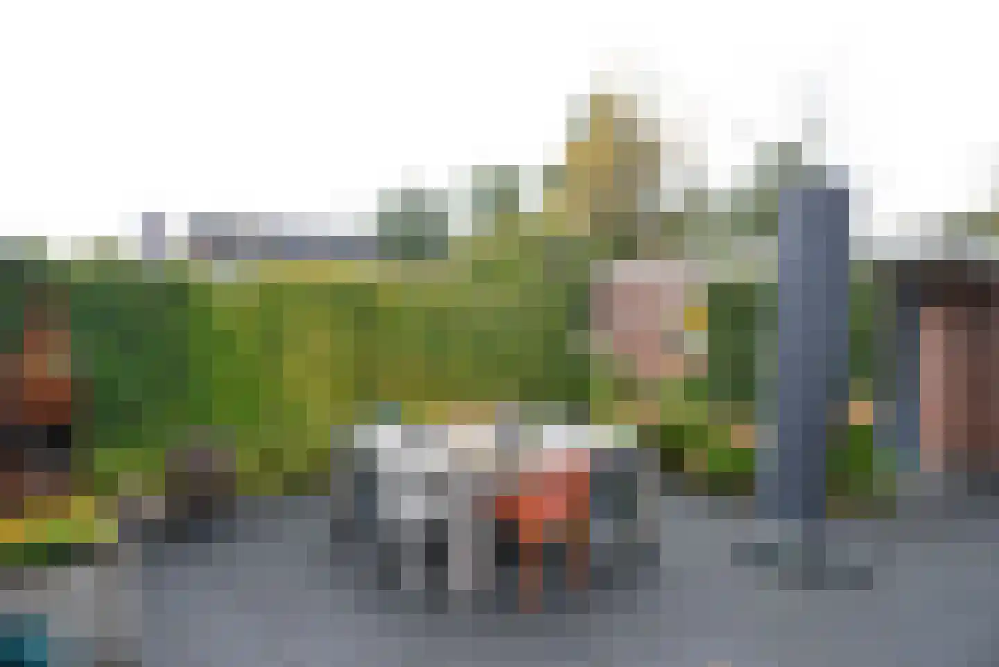 Ruwbeemd 11 Eemnes thumbnail 22