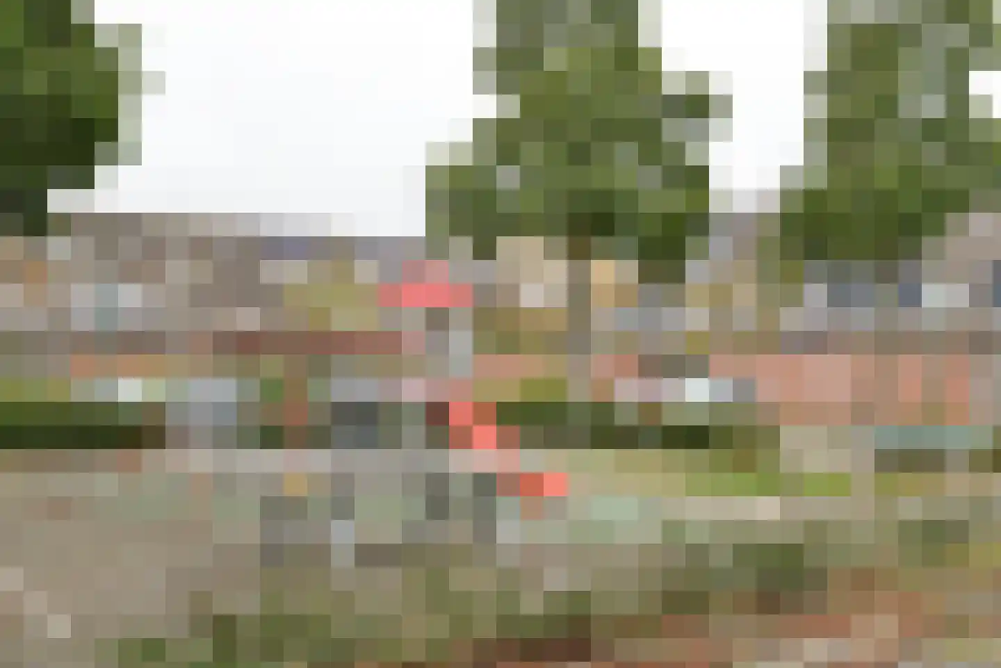 Ruwbeemd 11 Eemnes thumbnail 24