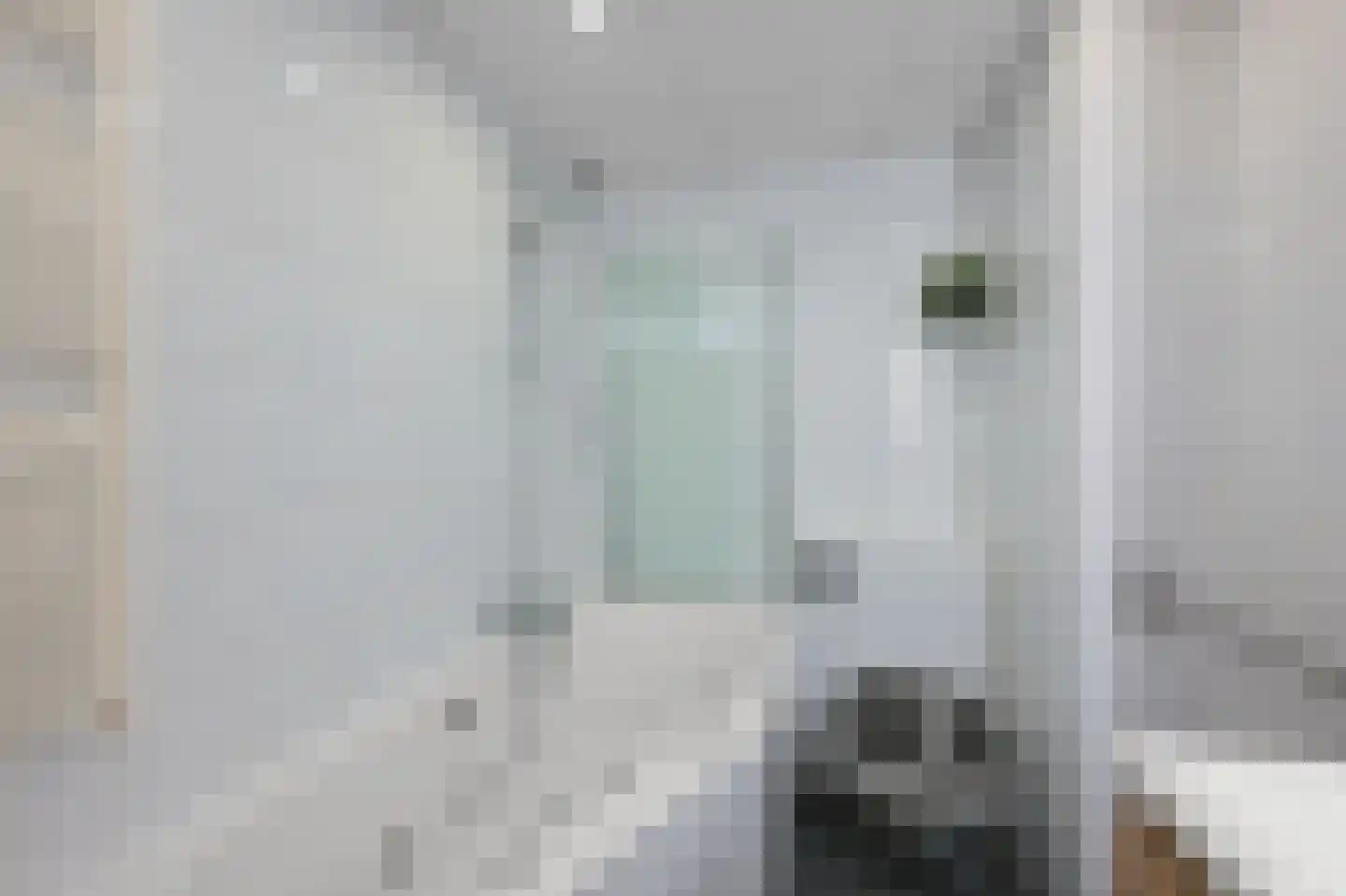 Ruwe Bies 16 Uithoorn thumbnail 21