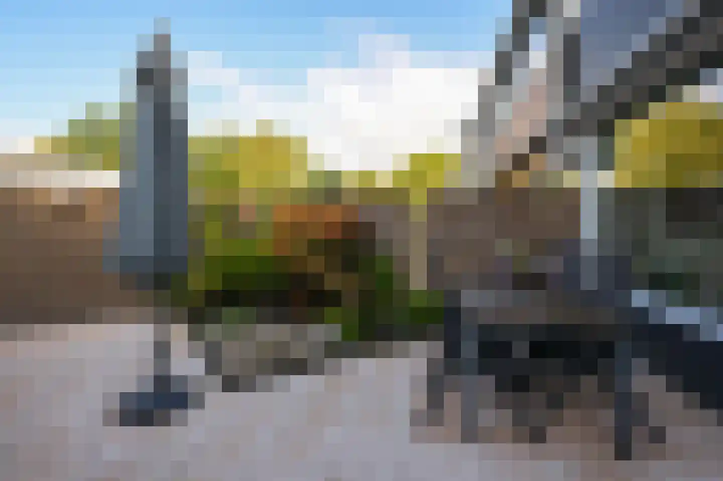 Ruwe Bies 16 Uithoorn thumbnail 30
