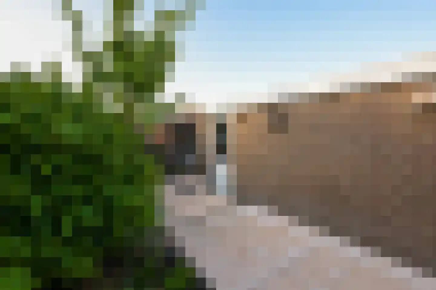Ruwe Bies 16 Uithoorn thumbnail 33