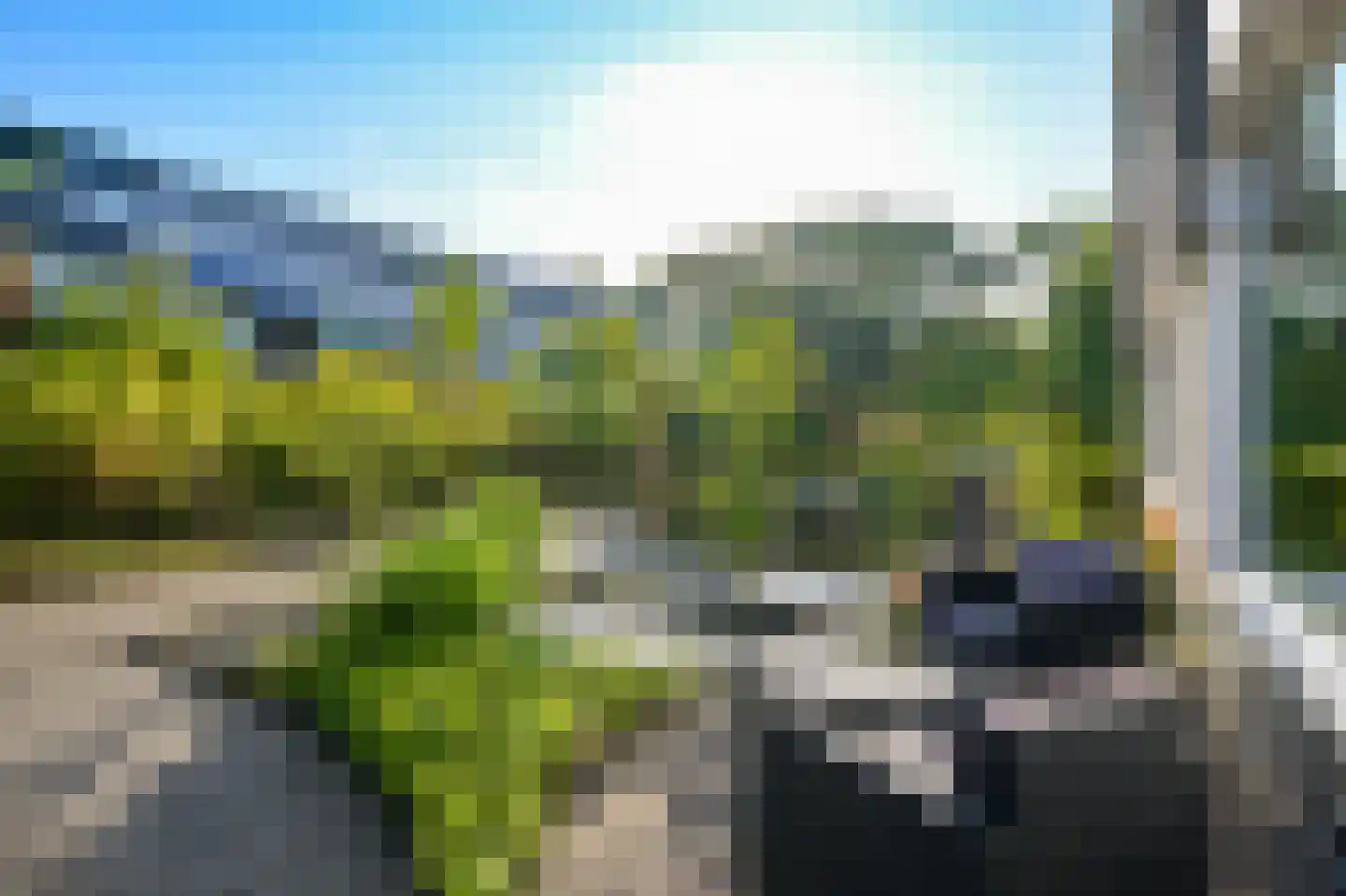 Ruwe Bies 16 Uithoorn thumbnail 38