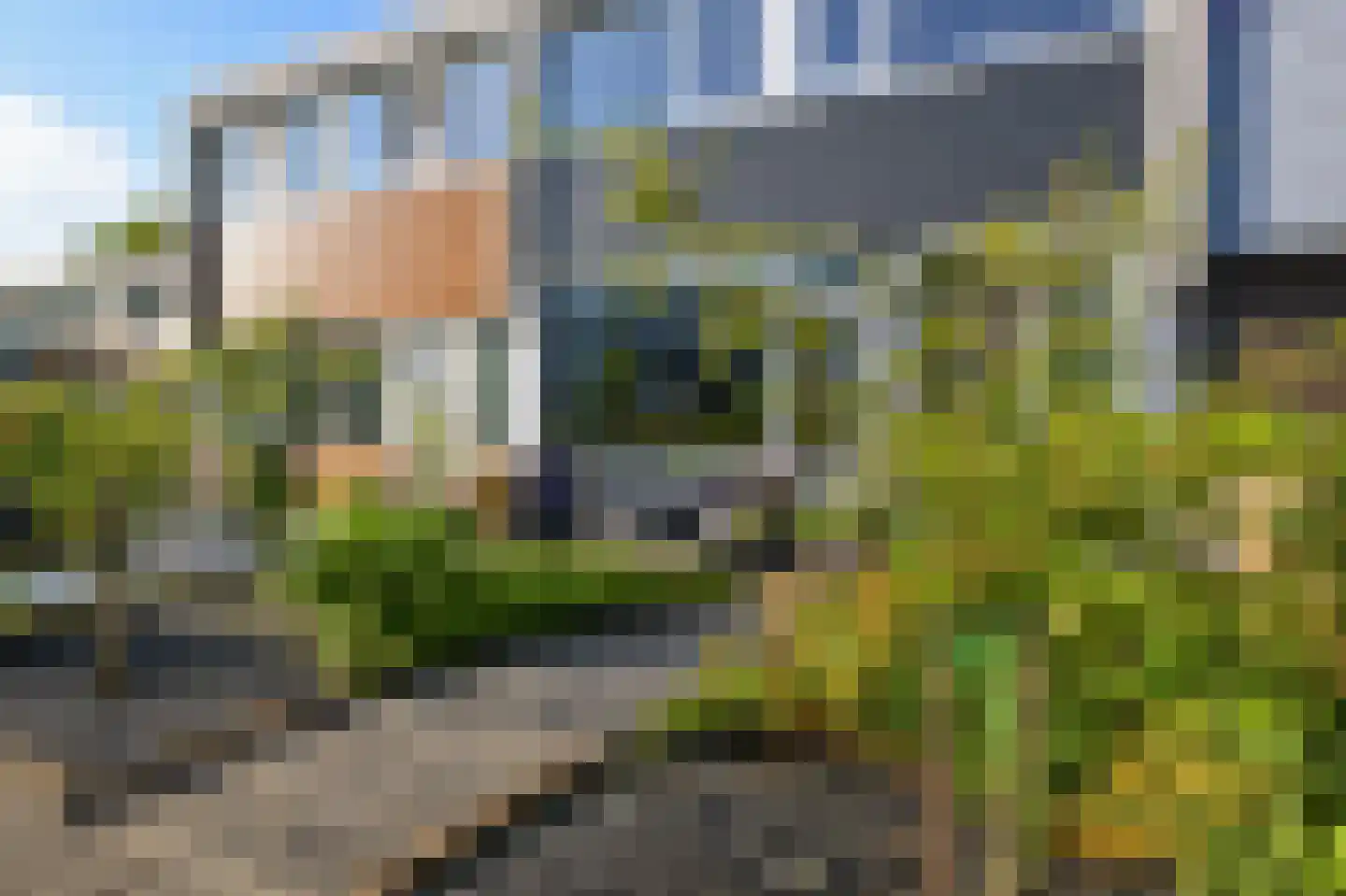 Ruwe Bies 16 Uithoorn thumbnail 40