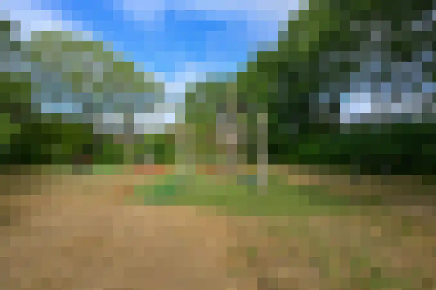 Ruwe Bies 16 Uithoorn thumbnail 43