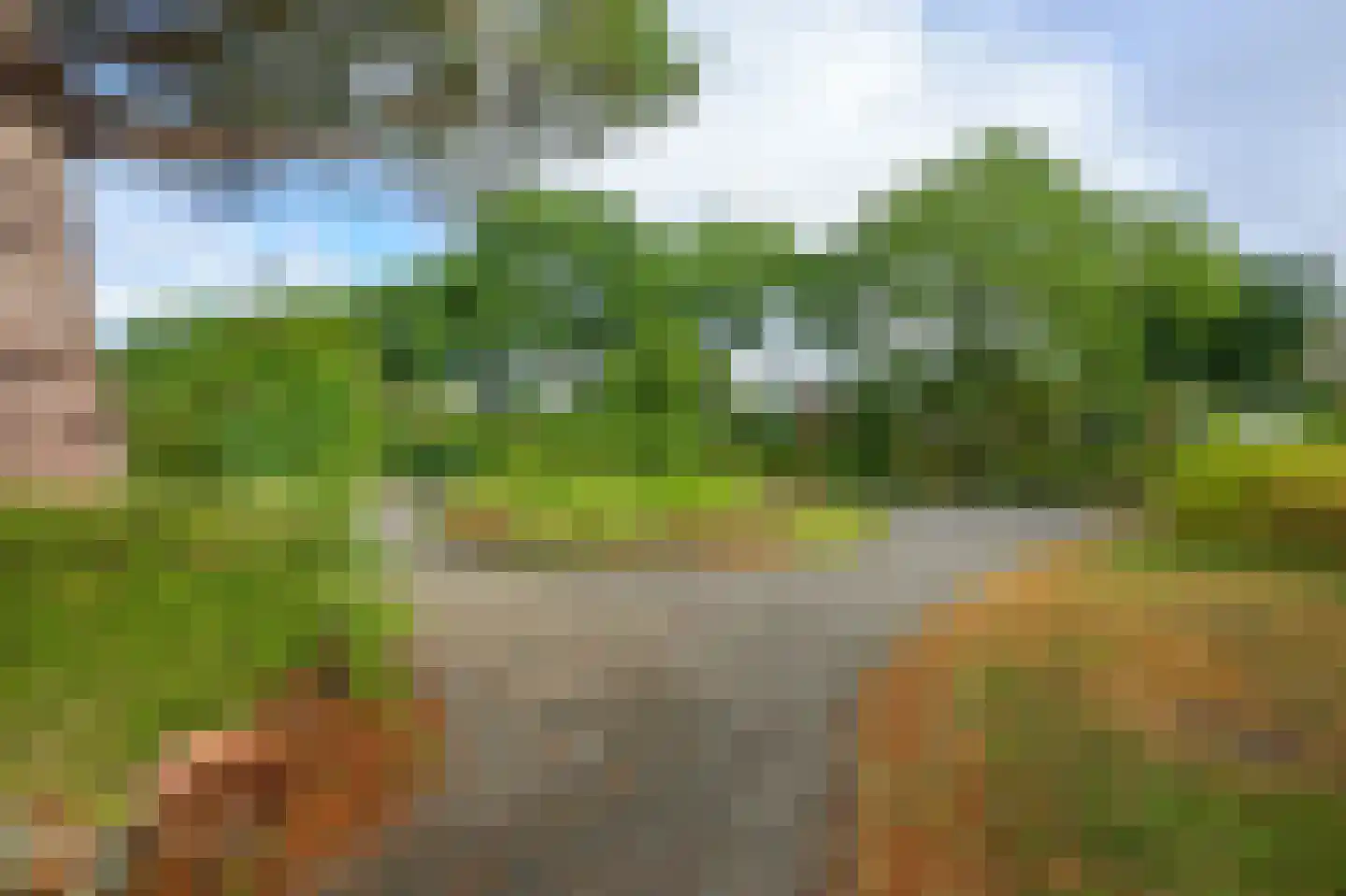 Ruwe Bies 16 Uithoorn thumbnail 44