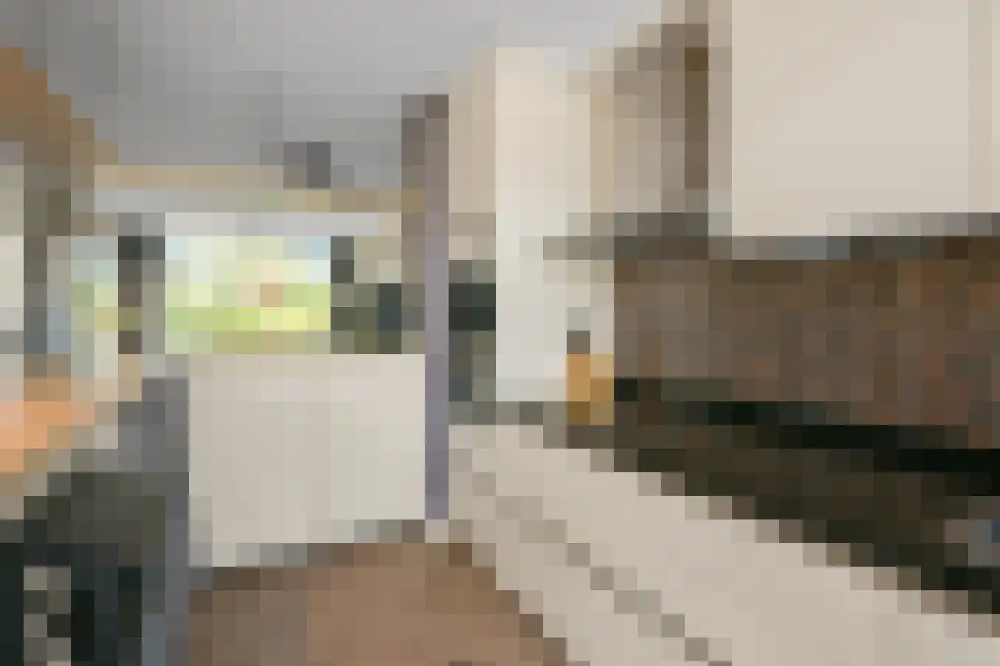 Ruwe Bies 16 Uithoorn thumbnail 8