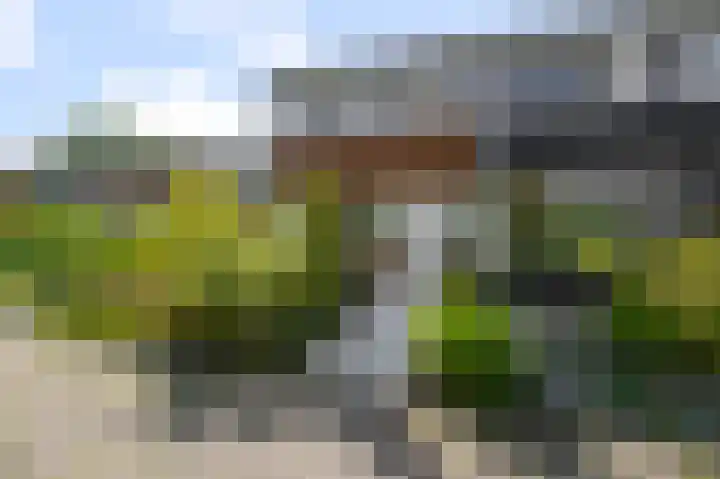 Ruwe Bies 18 in Uithoorn