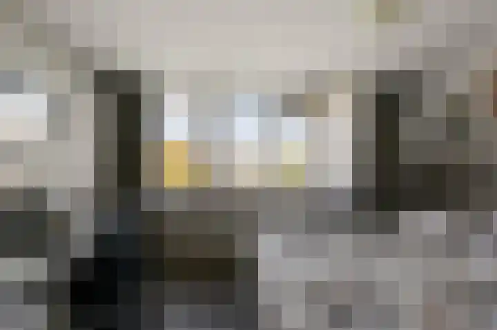Ruwe Bies 18 Uithoorn thumbnail 12