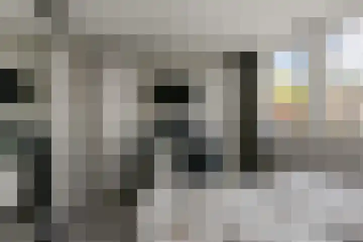 Ruwe Bies 18 Uithoorn thumbnail 13