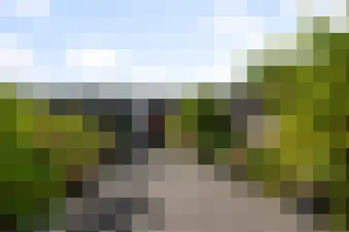 Ruwe Bies 18 Uithoorn thumbnail 24
