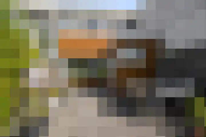 Ruwe Bies 18 Uithoorn thumbnail 25
