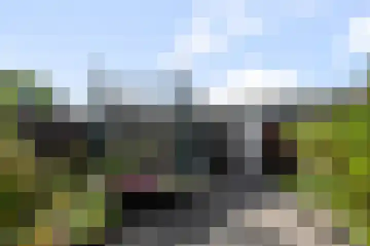 Ruwe Bies 18 Uithoorn thumbnail 27