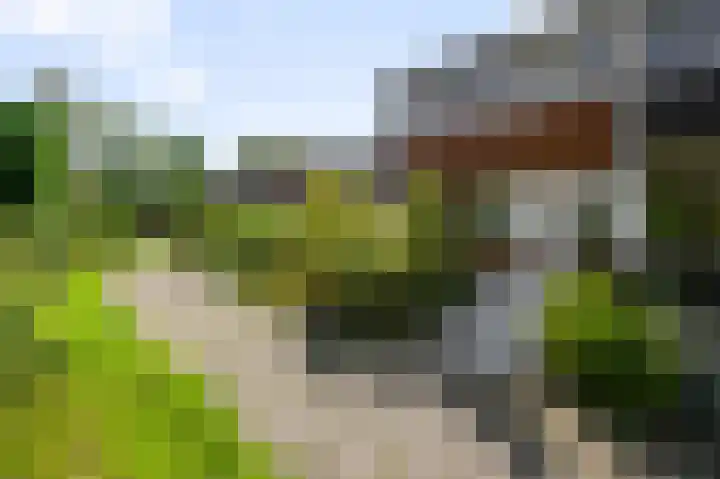 Ruwe Bies 18 Uithoorn thumbnail 29