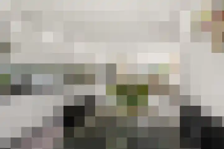Ruwe Bies 18 Uithoorn thumbnail 5