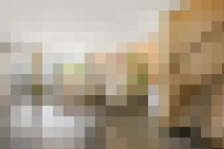 Ruwe Bies 18 Uithoorn thumbnail 6