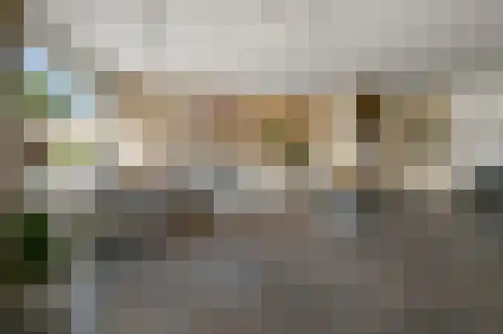 Ruwe Bies 18 Uithoorn thumbnail 8