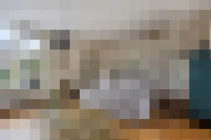 Ruwenberg 14 Eindhoven thumbnail 11