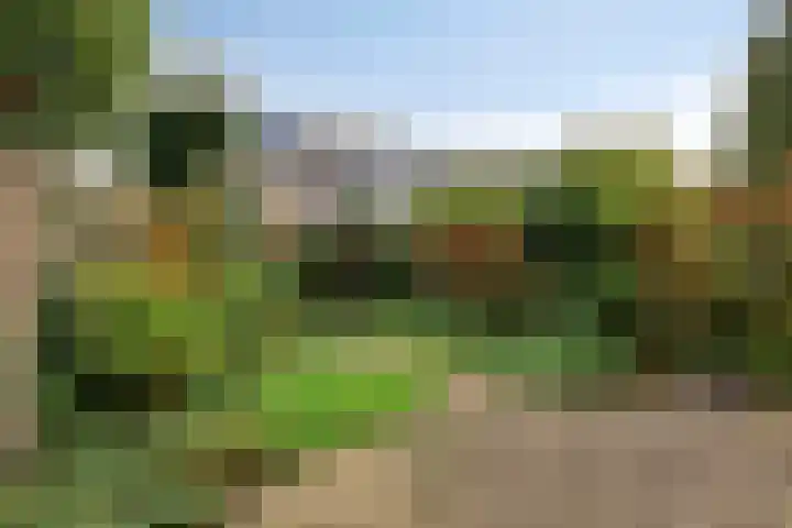 Ruwenberg 14 Eindhoven thumbnail 31