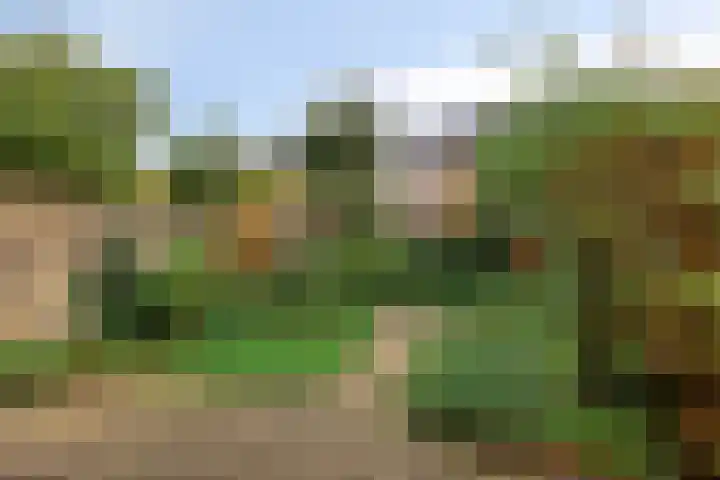 Ruwenberg 14 Eindhoven thumbnail 32