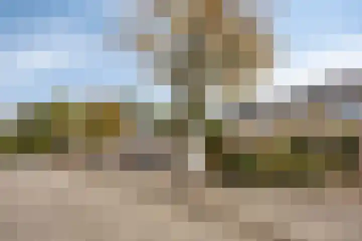 Ruwenberg 14 Eindhoven thumbnail 35